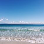 サーフトリップ　伊豆下田