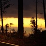 サーフトリップ　宮崎〜恋が浦〜都井岬