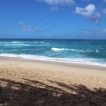 サーフトリップ　ハワイ〜ノースショア